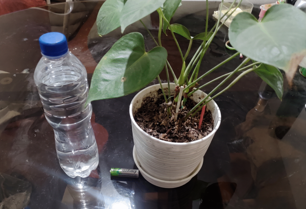 Nahaufnahme einer Pflanze neben einer Wasserflasche und einem Waschbecken auf einem Glastisch